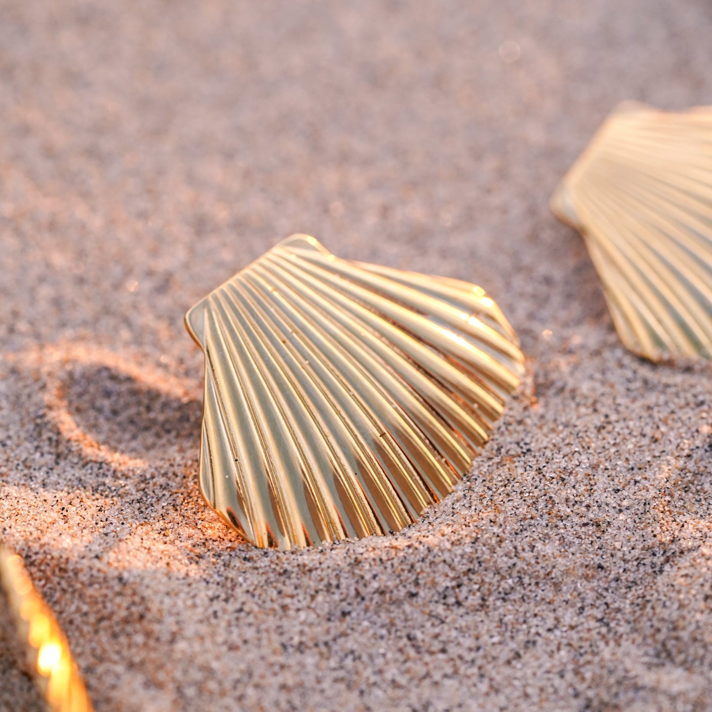 Seychelles Earrings